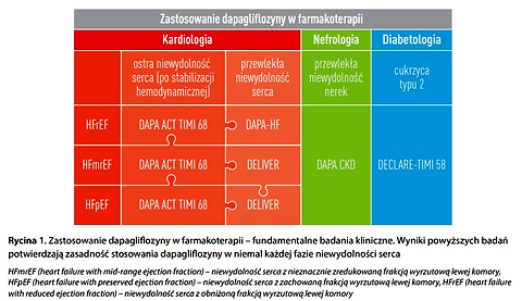 Dapagliflozyna jako fundament nowoczesnego leczenia w diabetologii, kardiologii i nefrologii