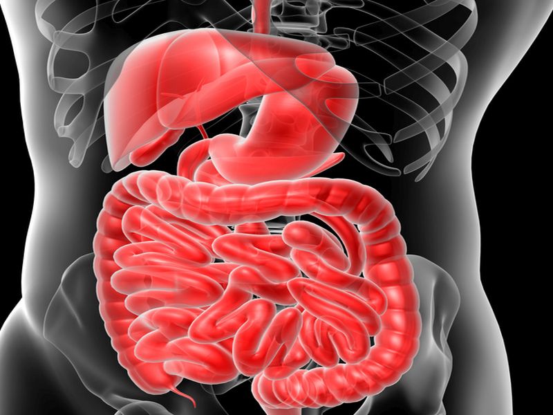 Eubiotyk ryfaksymina alfa - zastosowanie w leczeniu chorób układu pokarmowego w praktyce lekarza POZ w świetle nowych wytycznych