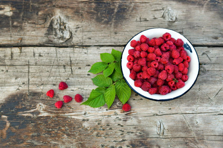 Kluczowa rola mikrobiomu jelitowego w metabolizmie flawonoidów