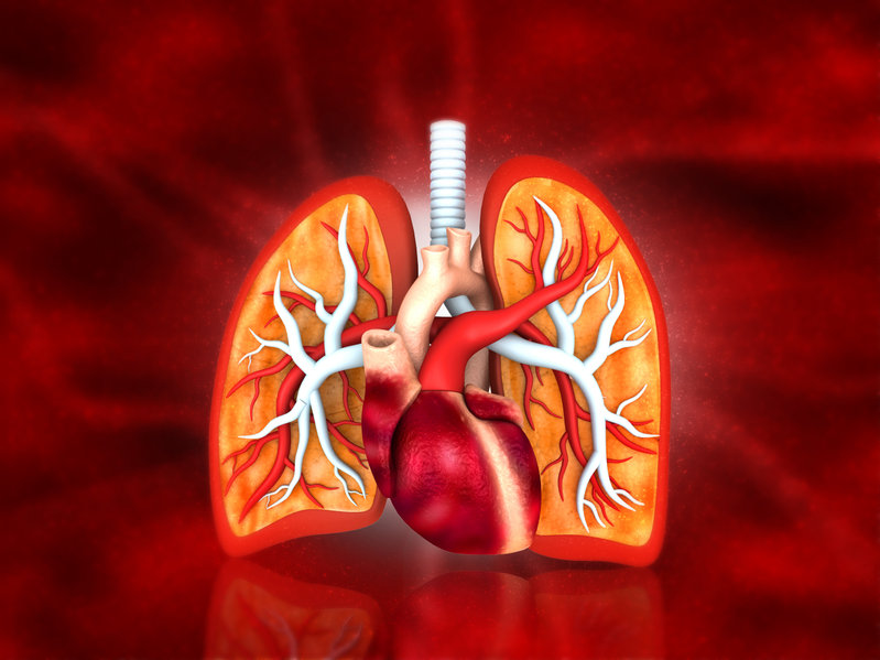 Niwolumab + ipilimumab w leczeniu międzybłoniaka złośliwego opłucnej