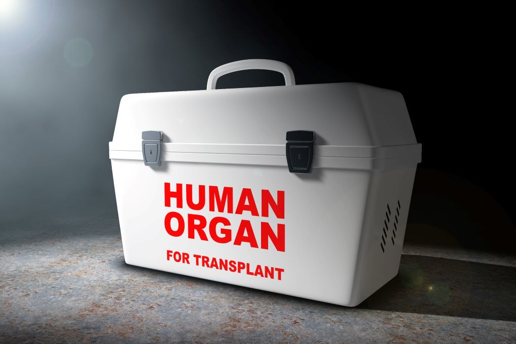 Dwukrotny wzrost budżetu na wzmocnienie systemu medycyny transplantacyjnej