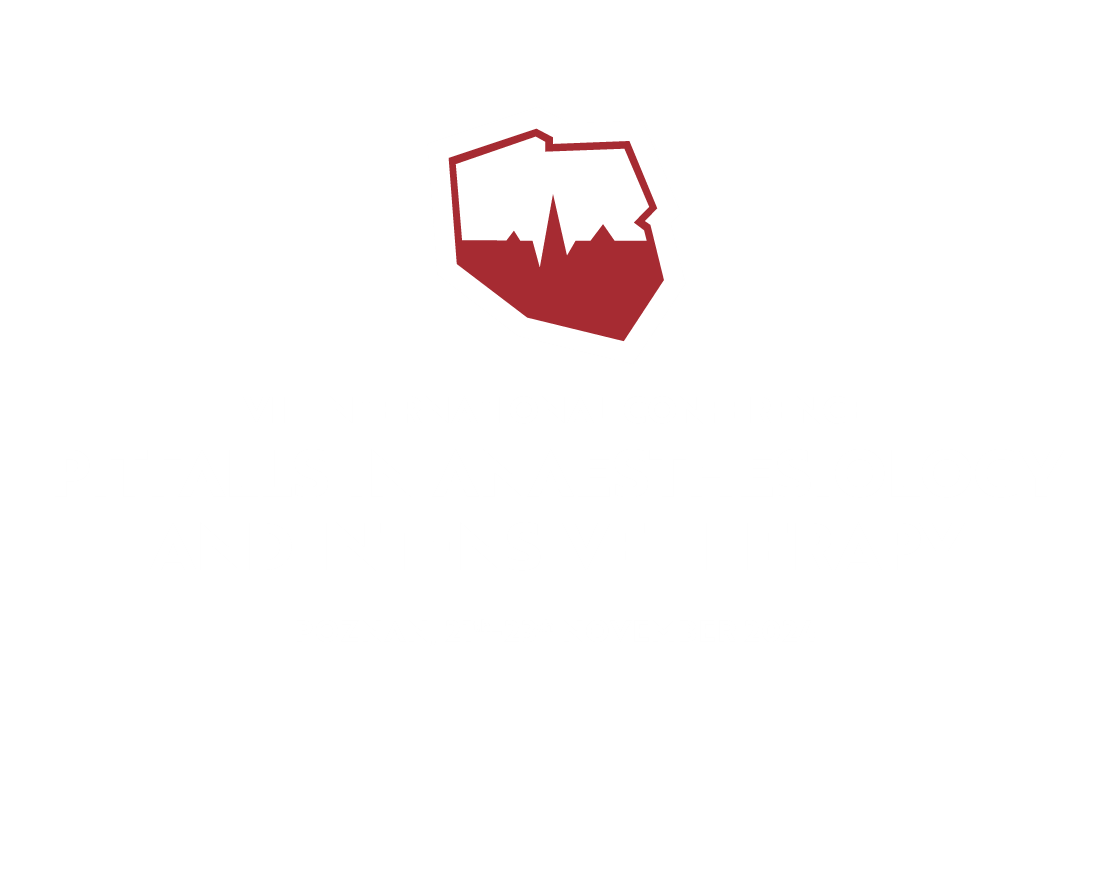 VIII INTERNATIONAL CONFERENCE PITFALLS IN ANAESTHESIOLOGY AND INTENSIVE CARE